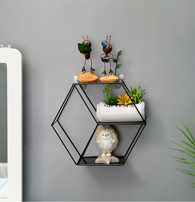 Renliss Honeycomb Wall Shelf